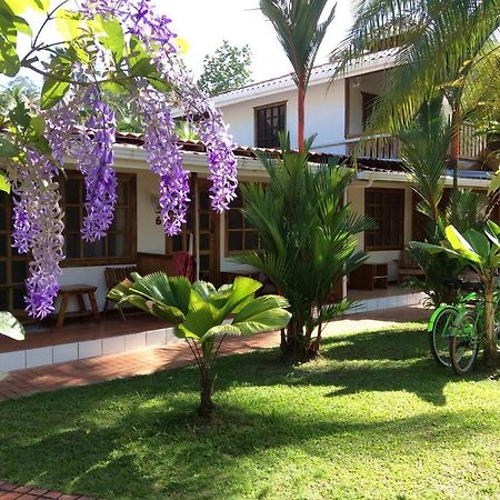 Posada Nena Caribe Puerto Viejo de Talamanca Exteriér fotografie