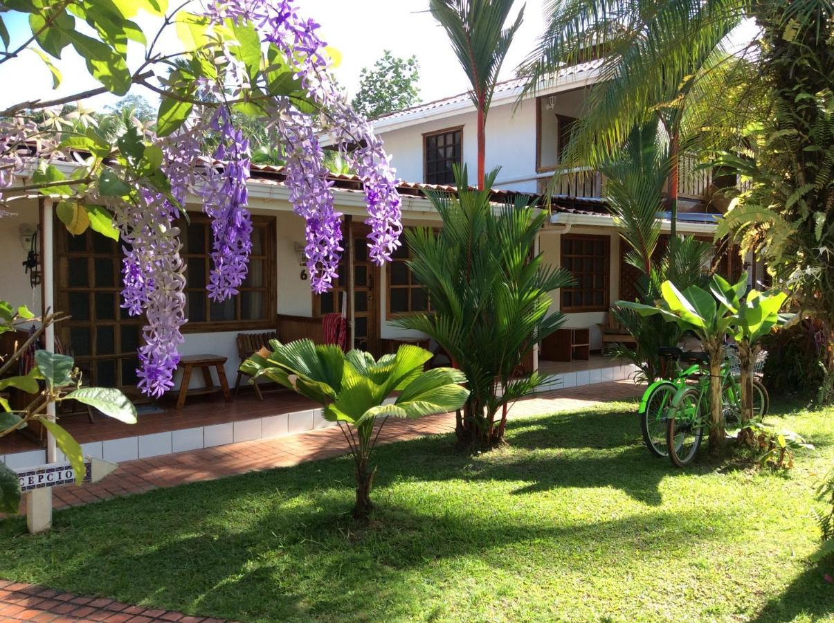 Posada Nena Caribe Puerto Viejo de Talamanca Exteriér fotografie