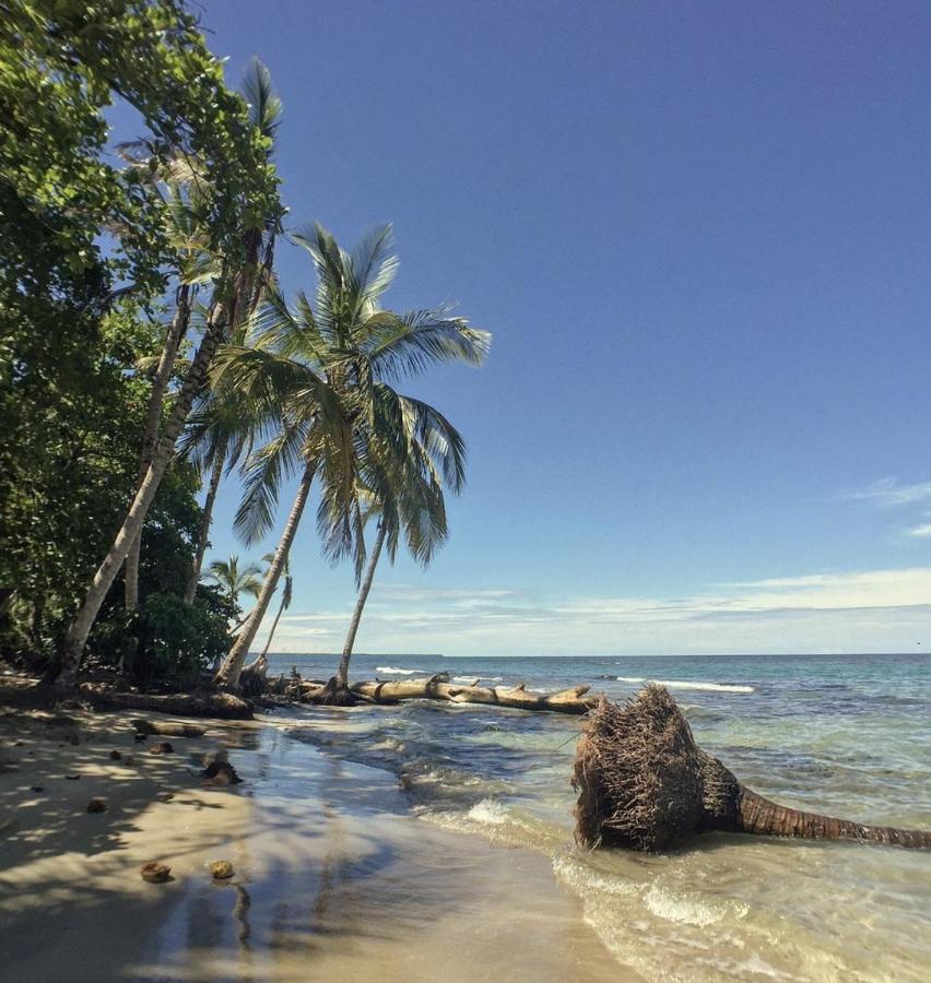 Posada Nena Caribe Puerto Viejo de Talamanca Exteriér fotografie