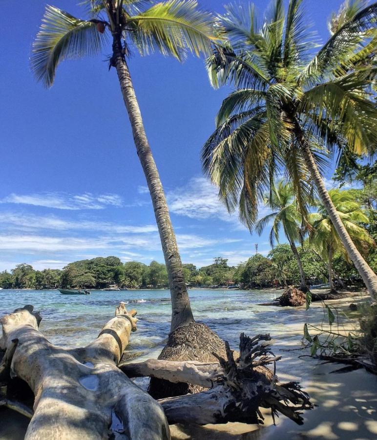 Posada Nena Caribe Puerto Viejo de Talamanca Exteriér fotografie
