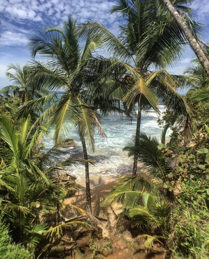 Posada Nena Caribe Puerto Viejo de Talamanca Exteriér fotografie