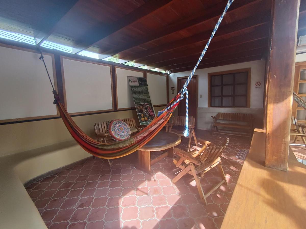 Posada Nena Caribe Puerto Viejo de Talamanca Exteriér fotografie