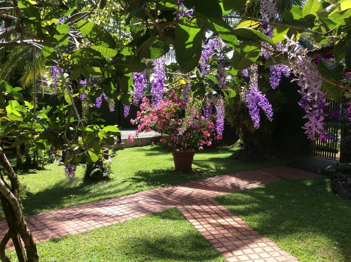 Posada Nena Caribe Puerto Viejo de Talamanca Exteriér fotografie